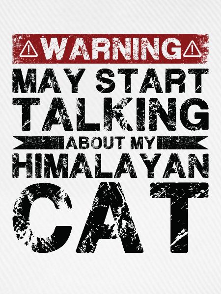 Apropos Himalaya-Katze