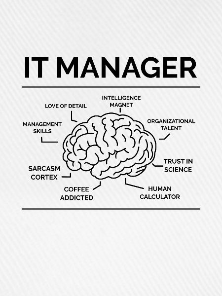 IT Manager