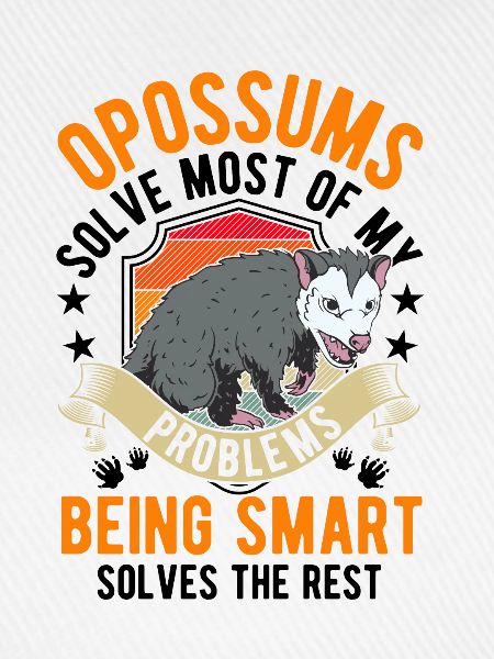 Opossum Geschenk Possum Beutelratte