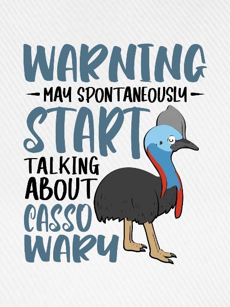 start talking about Cassowary