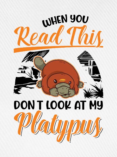 Schnabeltier Platypus