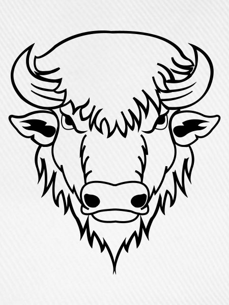 buffalo