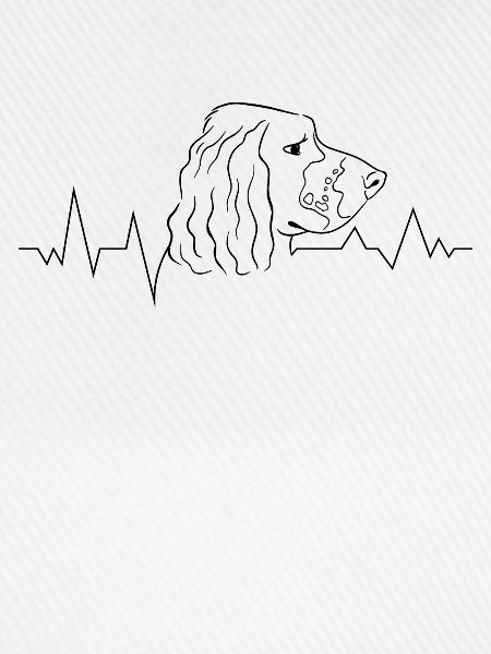 Hunderasse Englisch Springer-Spaniel