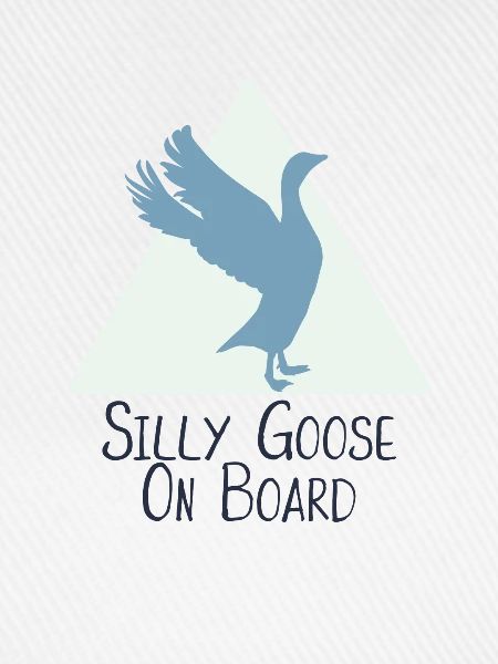 Silly Goose On Board