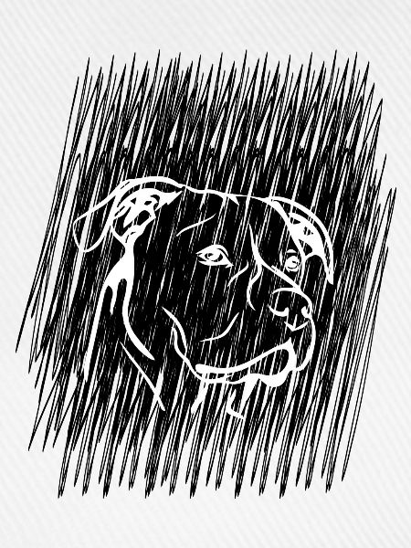 Hund Dog