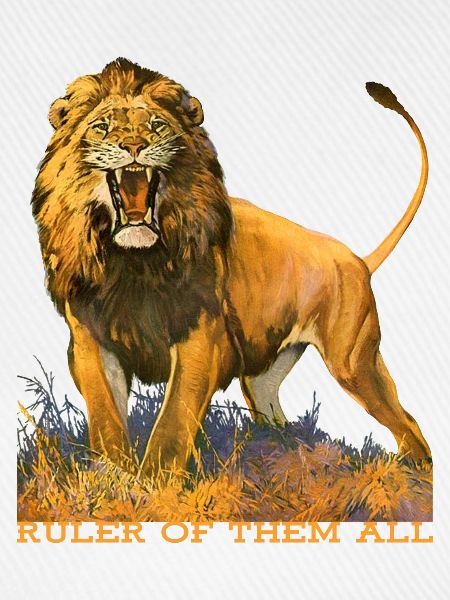 Wildtiere
