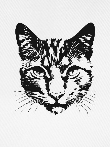 Katze 6
