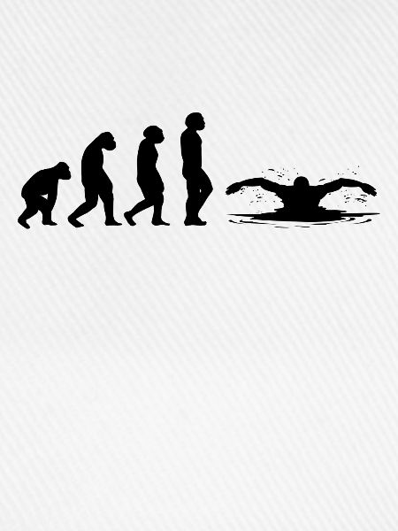 Schwimmer schwimmen Evolution Schwimm