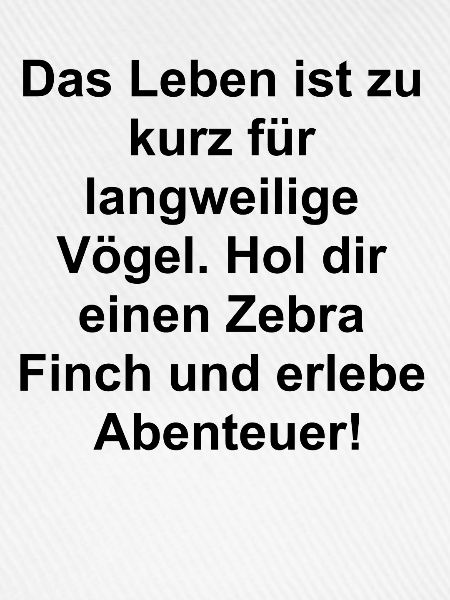 Begleiter Geschenk