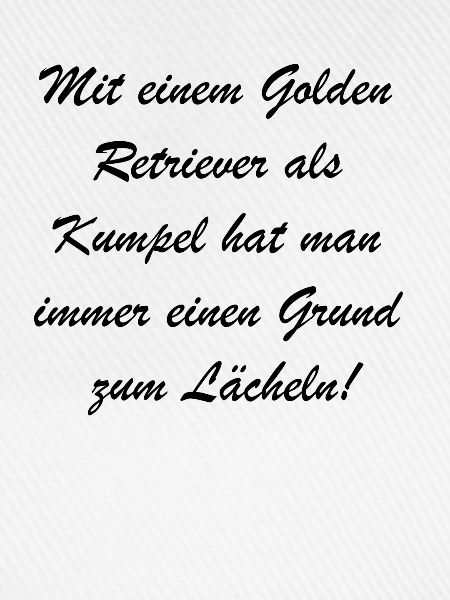 Kuschelfreund Geschenk