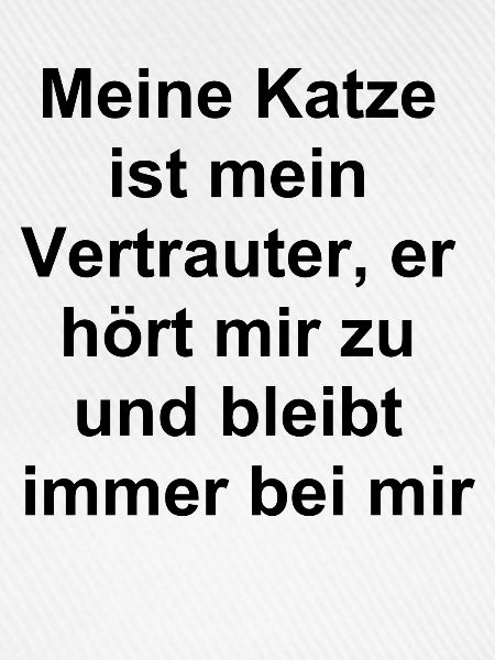 Tierischer Begleiter