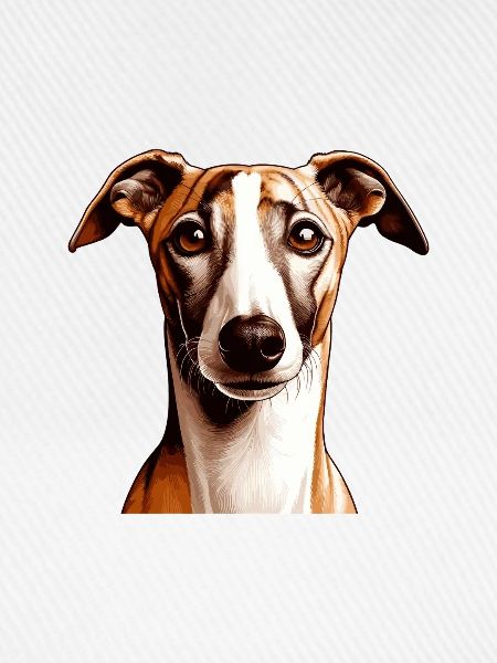 Hundegesicht - Whippet