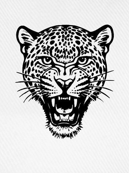 Leopard - Raubkatze, Afrika