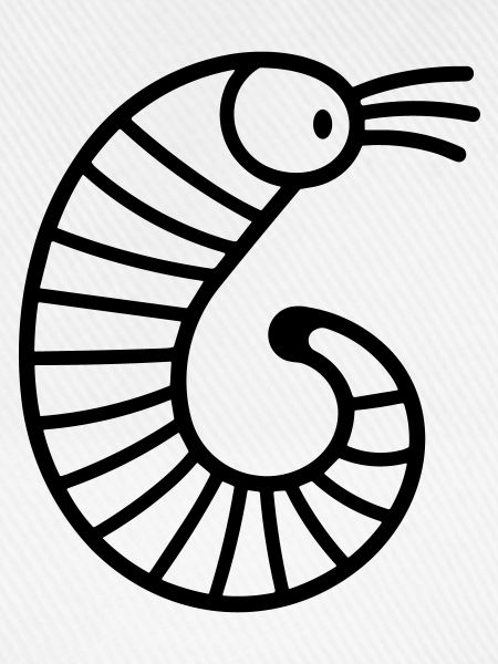 Regenwurm