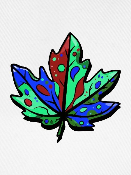 Blatt Herbst Bunt Ahorn