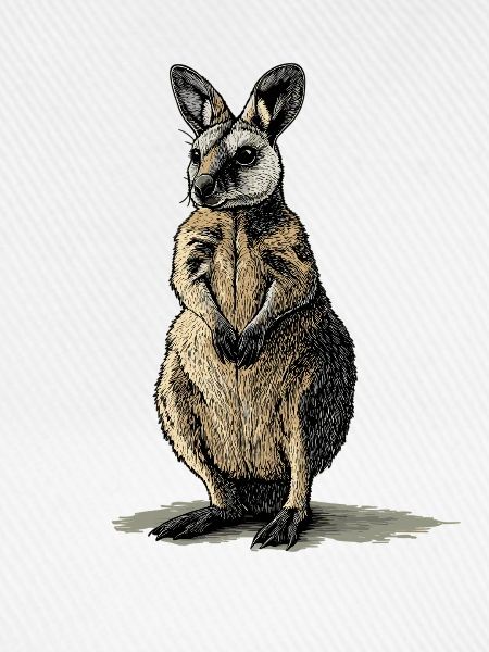 Wallabys Wallaby