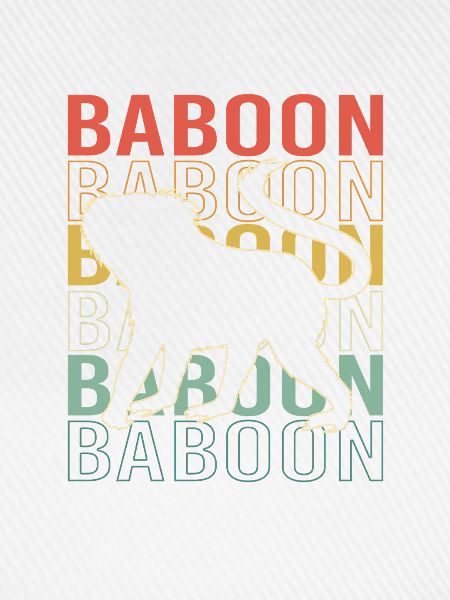 Baboon Pavian Primat Affe Affen