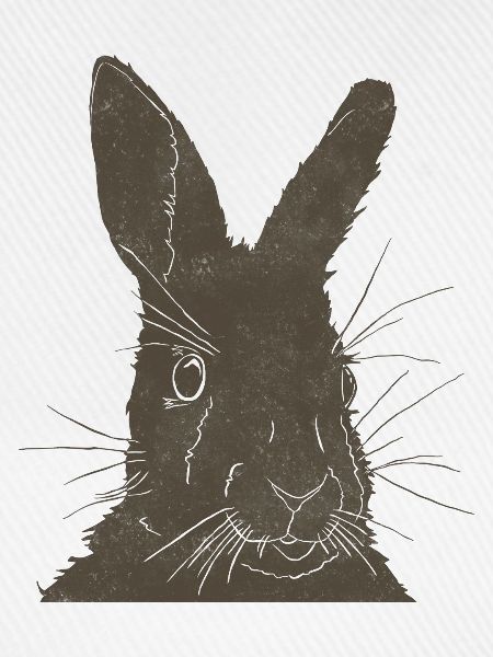 Hase Silhouette Erdfarben