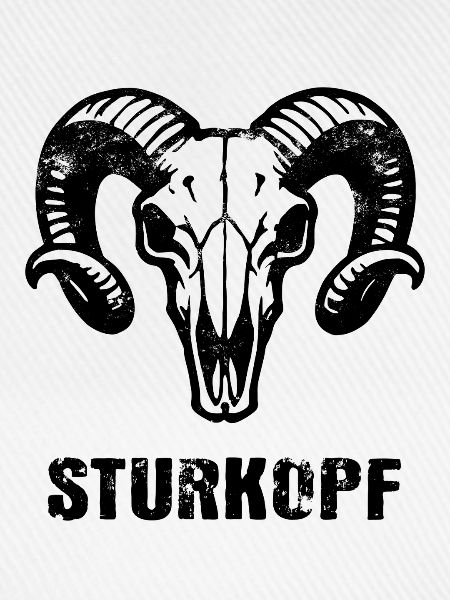 Sturkopf | Widderkopf Schädel mit Hörnern
