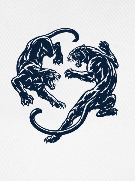 Kreis der Panther – Schattenkampf