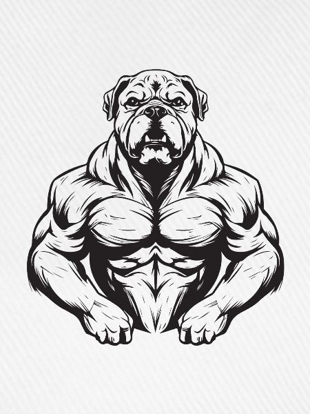 Hund Bodybuilding