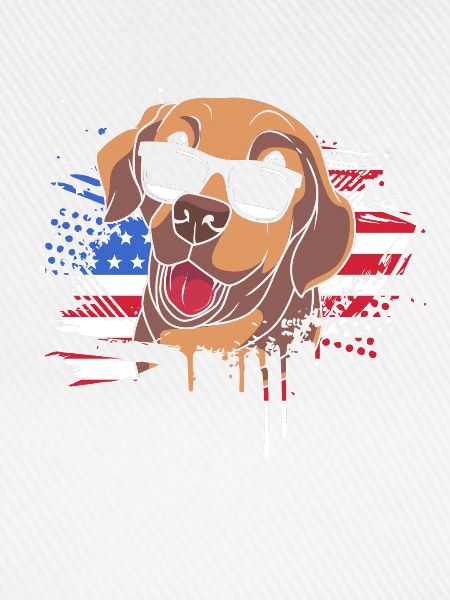 Chesapeake Bay Retriever