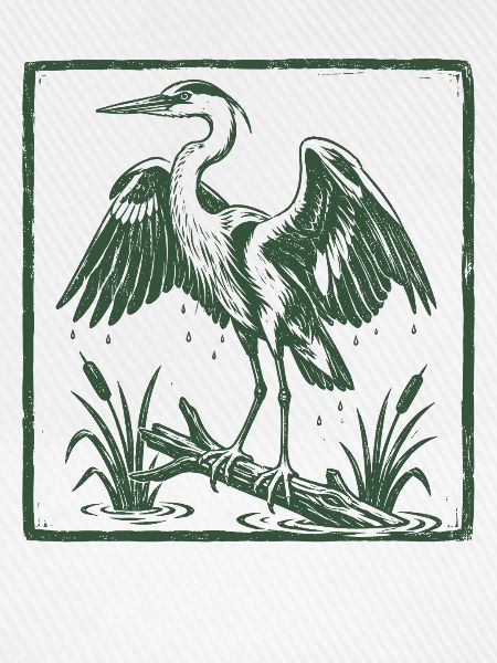 Blue Heron Birding Birdwatcher Heron