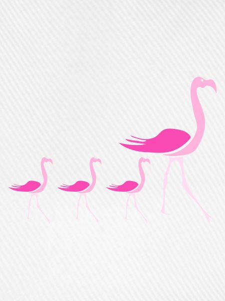 Flamingos Flamingo