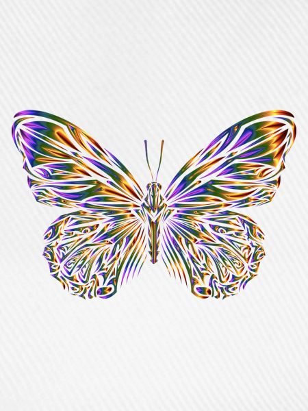Schmetterling, Butterfly