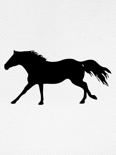 Pferd-QH-Galopp