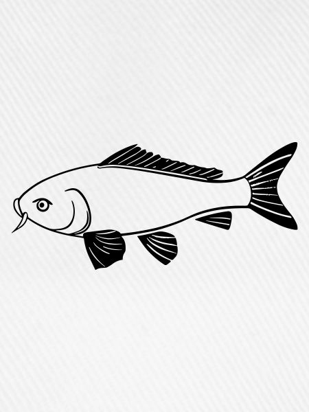 Fisch