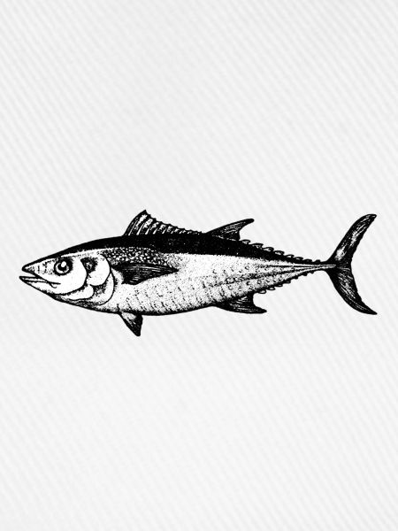 Thunfisch