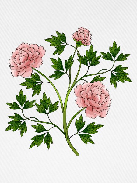 Bunte Blumen