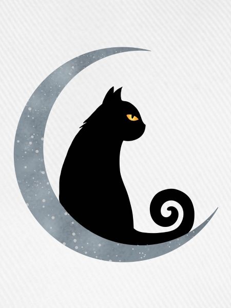 Mondkatze