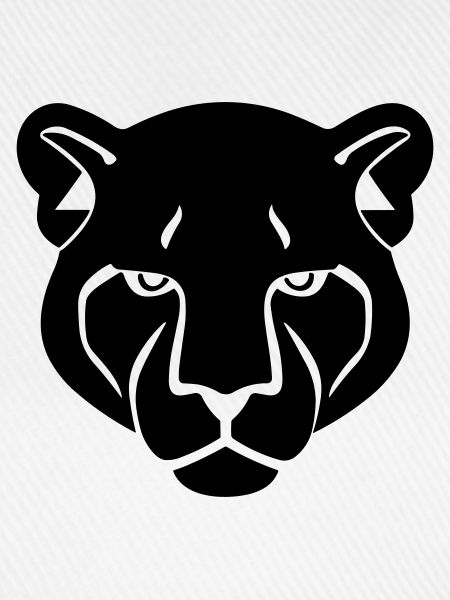 Kopf des Panthers