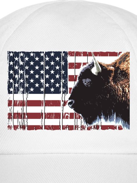 Buffalo - USA Flagge