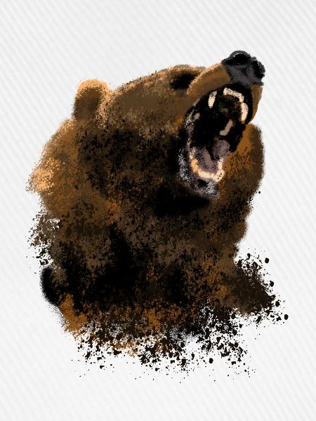 Bär