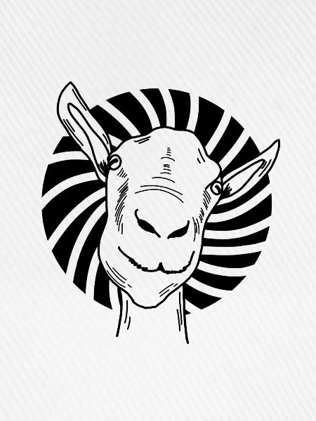 Ziege Goat
