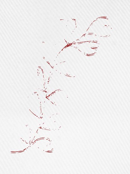 Rote Linienblume Skizze
