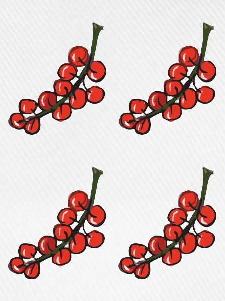 rote johannisbeere - red currant