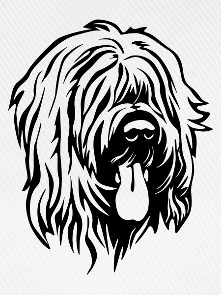 Briard Kopf