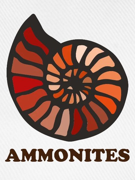 Ammoniten