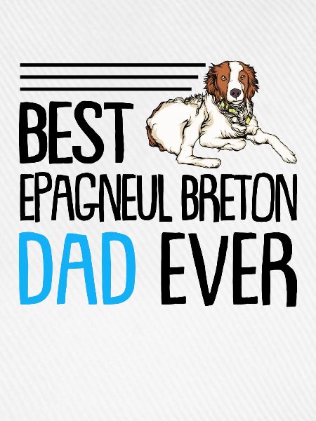 Epagneul Breton