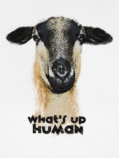 What´s up, Human