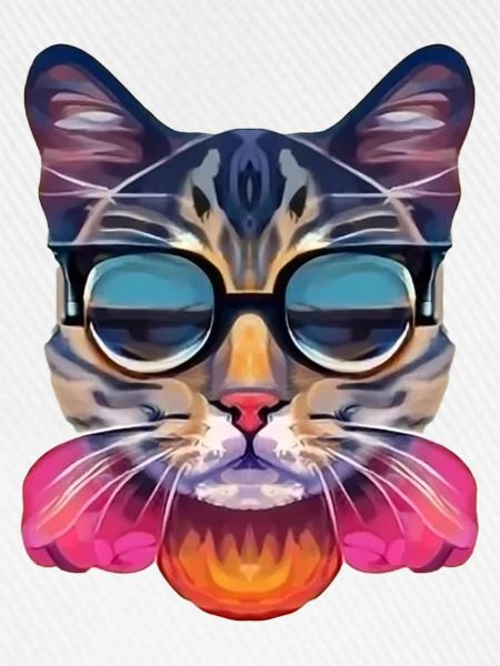 Klasse Katze mit Sonnenbrille