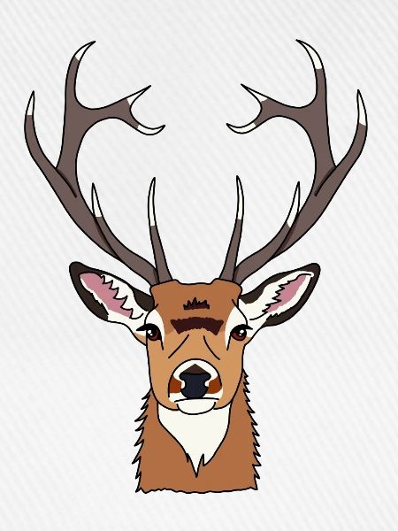 Hirsch