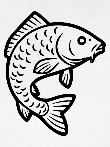 Karpfen Springend Fisch Angeln