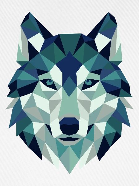 Wolfskopf Polygon Geometrie 