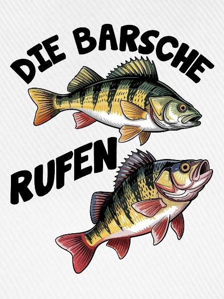 Barsch Angeln