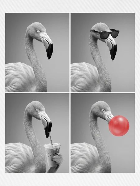 Flamingos Flamingo